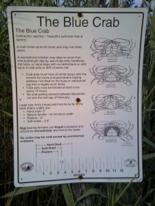 Blue crabbing regulations sign Rosedale Beach Millsboro, DE