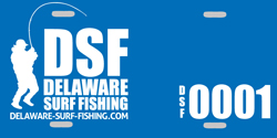 DSF-LICENSE-PLATE