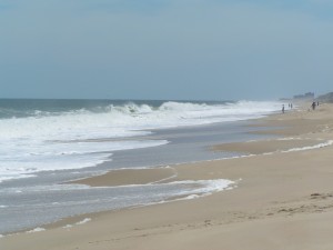 3R's Delaware Seashore State Park ... rough surf today 3R's Delaware Seashore State Park ... rough surf today