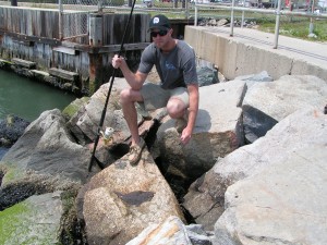 Indian River Inlet flounder on minnows by Brad in 10 minutes at the rail
