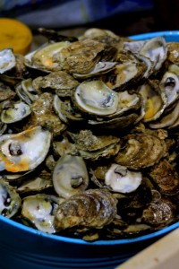 Oyster "scat" will be returned to the bay to increase growth