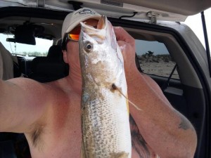 Trout ... Broadkill Beach  ... confirmed