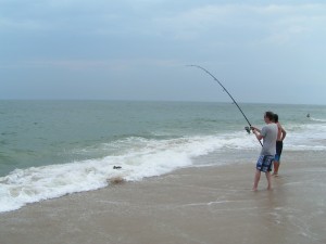 shark in surf delaware seashore state park conquest beach shark fishing the surf