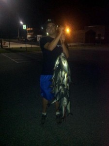 alancrewsblues bluefish Indian River Inlet