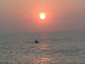 kayaking out bait in the sunset kayaking shark bait , ocean kayaks, delaware surf fishing