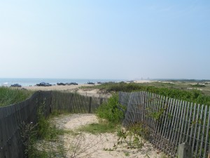 Herring Point Beach ... Cape Hanlopen State Park CHSP