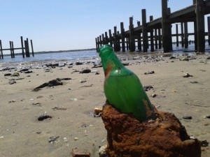 inland bay cleanup, DNREC, DSF, masseys landing, litter in the bays, indian river bay, lil assawomen bay, rehoboth bay, oak orchard boat ramp 