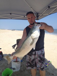 dssp, delaware seashore state park, dsf, delaware surf fishing, striped bass, rockfish, linesider