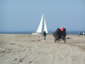 the point, cape henlopen state park, dsf, delaware surf fishing, horse and carraige on bach, sailing in delaware
