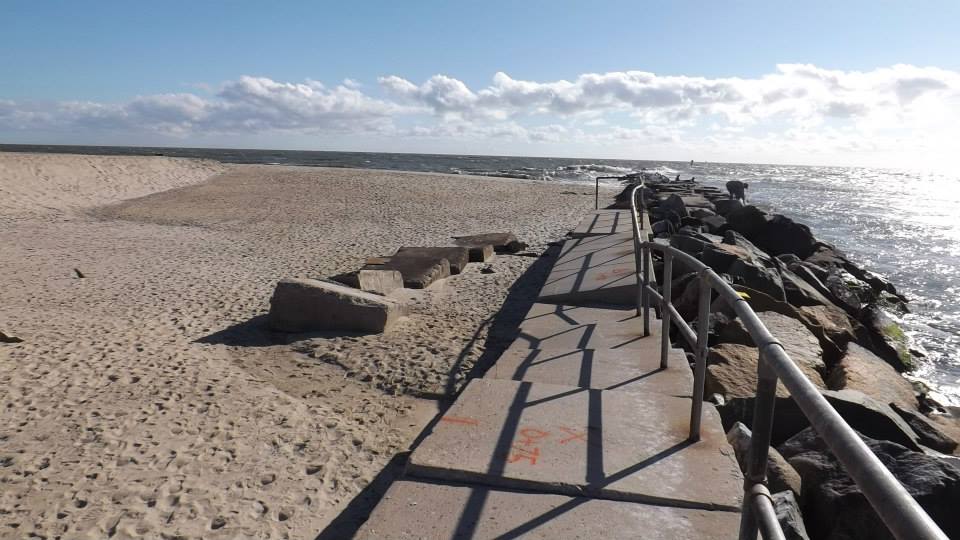 are dogs allowed at north jetty