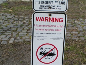 No fish consumption warning sign