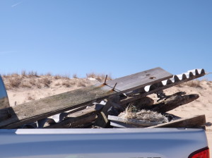 beach trash, cape henlopen state park, the point, beach clean up