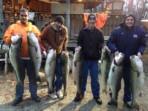 striped bass, mojos, stretches, bombers, rockfish