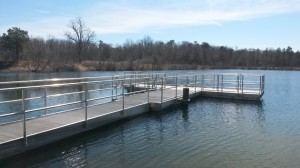 newton pond, greenwood, delaware, sussex county, 