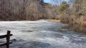 tidbury pond, dover, delaware, kent county, trout ponds, opening day