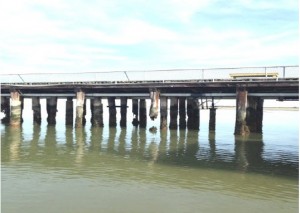 cape henlopen fishing pier, delaware state parks, sussex county