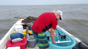 tagging weakfish, delaware bay, broadkill beach,