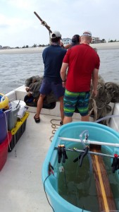 seine netting, tagging weakfish, delaware bay, sussex county, sea trout