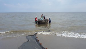 weakfish tagging, DNREC, sussex county, delaware bay,