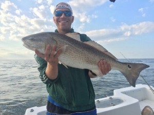 red drum, redfish, bull drum, delaware bay, sussex county, ice breakers, inner wall, outer wall