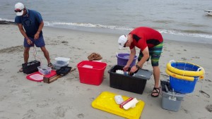 weakfish tagging, broadkill beach