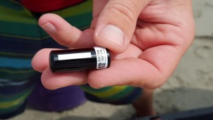 weakfish tag, delaware bay, broadkill beach, sussex county,