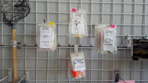 diamond state cusstom tackle, top and bottomrigs, bluefish rigs, striper rigs, flounder rigs, delaware, sussex county