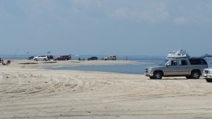 the point, delaware, sussex county, cape henlopen state park,