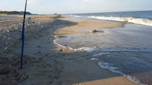 herringpoint beach, cape henlopen state park, 
