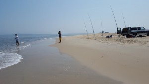 the point, cape henlopen state park