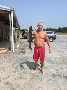 cobia i Delaware, 3rs, delaware seashore state park