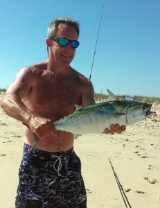 false albacore, surf fishing, delaware, sussex county, atlantic fish,albies on plugs, deadly dick, spoons, 3rs beach access