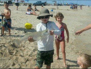 short striiped bass, atlantic fish species, delaware, sussex county, 3rs, delaware seashore state park, 