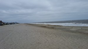 Broadkill beach Sunday at low tide, looking north