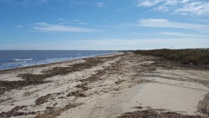 BPI, beach plum island state park, delaware, sussex county, broadkill beach