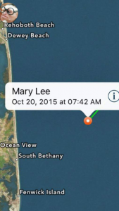 mary lee, great white shark, delaware, sussex county, rehoboth, bethany beach, ocean pines, ocean view, OCEARCH