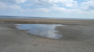 swale on beach, tide pool, delaware seashore state park, sussex county, dssp, route 1,