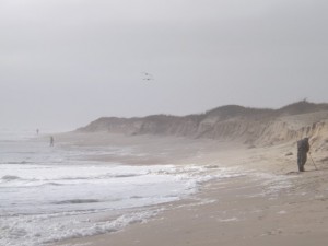 noreaster 2015 damage,beach erosion, delaware seashore state park, sussex county,