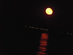 hunters moon november, harvest moon,blood moon, sanguine moon, delaware, sussex county