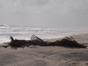 fenwick island state park, dune fence, delaware, sussex county