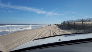 the point, cape henlopen state park, noreaster damage, beach erosion, delaware bay, atlantic ocean, beach combers
