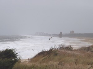 noreaster, storm of 2015, fire watch towers, fort miles, rehoboth, cape henlopen state park