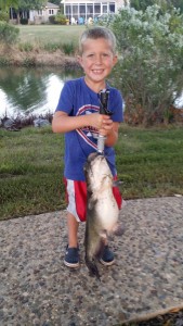 catfish, lewes pond, delaware, sussex county