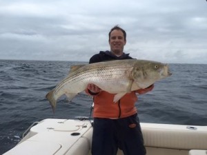 striped bass, seaside heights, new jersey, delaware, sussex county, fall migration, rockfish, rock the rocks, linesider, bunker spoons