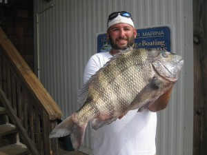 ice house bait and tackle, lewes, delaware, sussex county, sheepshead, taug fishing, blackfish, white chin