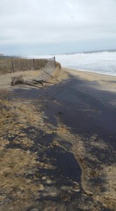 Rehoboth Beach, auto gallery, delaware, sussex county, noreaster damage