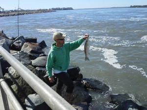 iri, indian river inlet, delaware, sussex county, rockfish, linesider, plugging for bass
