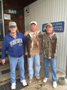 tautog, grizzly, lewes, delaware, sussex county