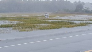 delaware, long neck road flooded