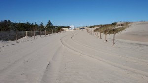 conquest beach, delaware seashore statepark, sussexcounty, ORV access, drive on beach in delaware